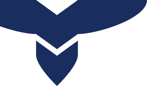 Banner Página interna Thesle